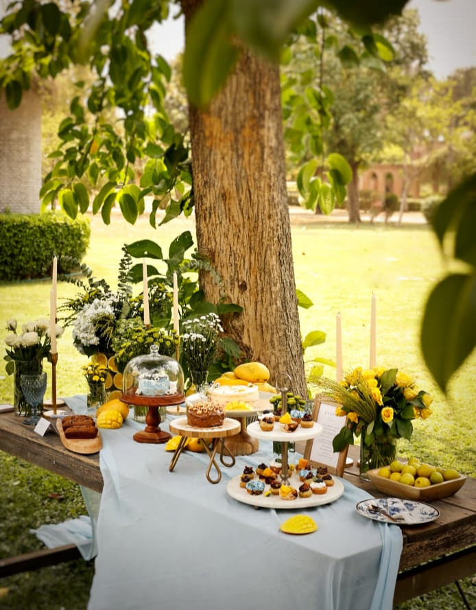 Outdoor setting with a dessert table under a tree, surrounded by greenery.